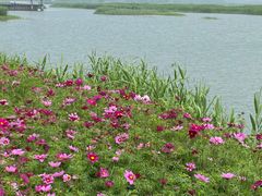 -苏州吴中太湖旅游区