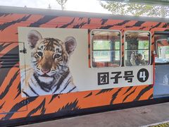-秦皇岛野生动物园