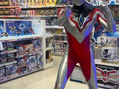 -TOYSRUS玩具反斗城(上海万象城店)