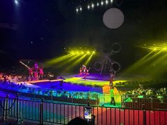 -灵玲国际马戏城