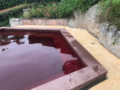 -天目湖涵田半山温泉