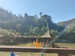 -西双版纳原始森林公园