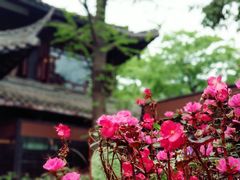 -大妙火锅·非物质文化遗产(东湖公园店)