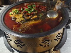 -探鱼·鲜青椒爽麻烤鱼(番禺万达店)