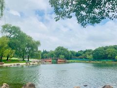 -东方绿舟景区