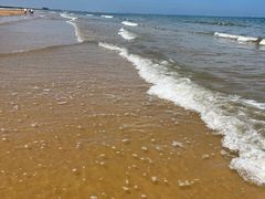 -日照海滨国家森林公园