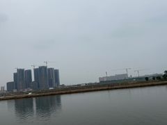 -大湾区中央湿地公园-十九涌