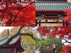 -岳麓山风景名胜区