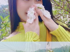 -南国桃园旅游度假区