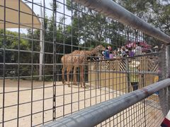 -泉州海丝野生动物世界