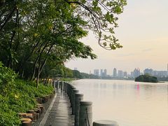 -南宁南湖公园