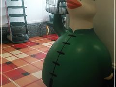 -大鸭梨烤鸭店(朝阳路店)