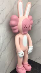 -查克拉造型
