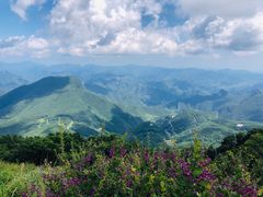 -白草畔自然风景区