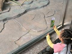 -泉州海丝野生动物世界