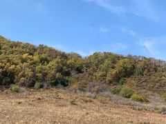 -白草畔自然风景区