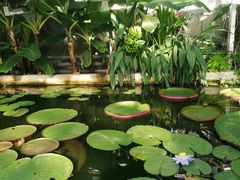 -国家植物园南园