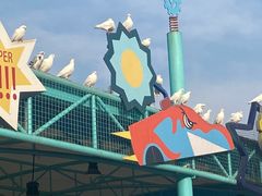 -海合安武汉极地海洋公园