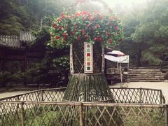 android_upload_pic-众神白水涧景区