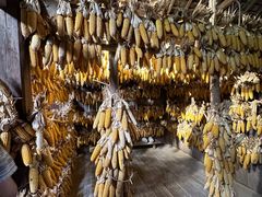 -西双版纳基诺山寨