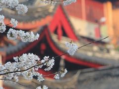 -南京城墙景区