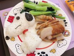 -史努比缤纷世界