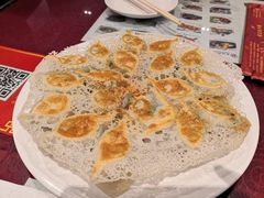 冰花煎饺-老边饺子馆(中街店)