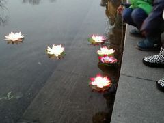 android_upload_pic-水磨沟公园