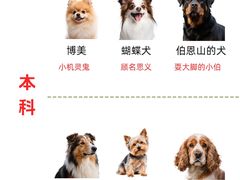 -宠乐迪宠物生活馆(德平路店)
