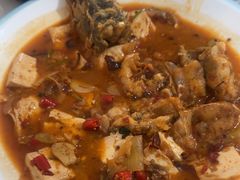 -煲来饱去冷水鱼