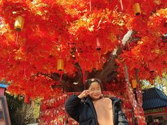 -芜湖方特东方神画