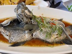 -骏莱海鲜鱼港(五角场店)