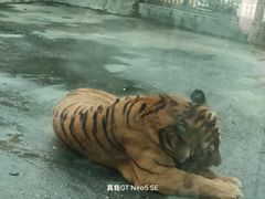 -南昌动物园