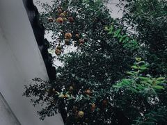 -都可手作(学士街手作店)
