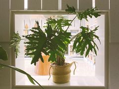 -二酉书店TOYOU BOOKS