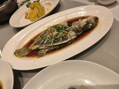 -红城阁·上海味道(四平路店)