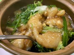 红烧石斑腩-毛记饭店