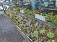 -野菌皇海景野生菌火锅(滨海大道店)