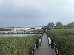 -太湖湖滨国家湿地公园-停车场