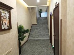 -宠爱国际动物医院· 猫科· 外科·中兽医(长白店)