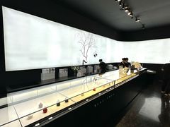 -BLACKSWAN黑天鹅(环球店)