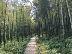 -南山风景名胜区
