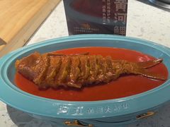 -阿五黄河大鲤鱼(英协路店)