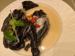 药膳鸡-沙龙酒家