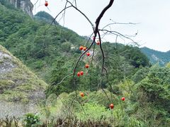 -雁荡山风景名胜区