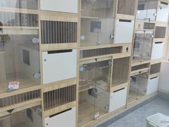 -爱洗澡的猫(望京店)