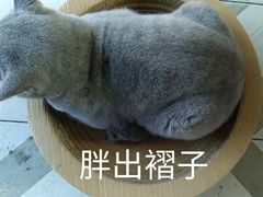 -大方圆酒楼(西门大街店)