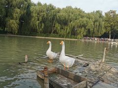 -达活泉公园