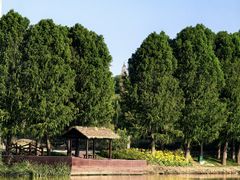 -澹台湖公园