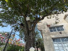 -中国船政文化博物馆